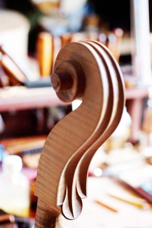 testa cello