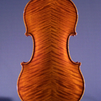 Violino Giancarlo Guicciardi