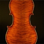Viola Giancarlo Guicciardi